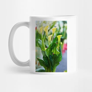 Calla flowers blooming Mug